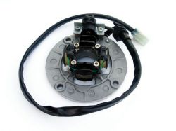 ELECTREX vinutí alternátoru (stator) YAMAHA YZF250 01-11