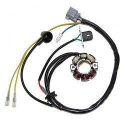 Vinutí alternátoru (stator) se světly ELECTROSPORT ESL740 (ELECTROSPORT vinutí alternátoru (stator) se světly KAWASAKI KXF 250 (05-10)